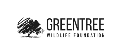 Client logo 1